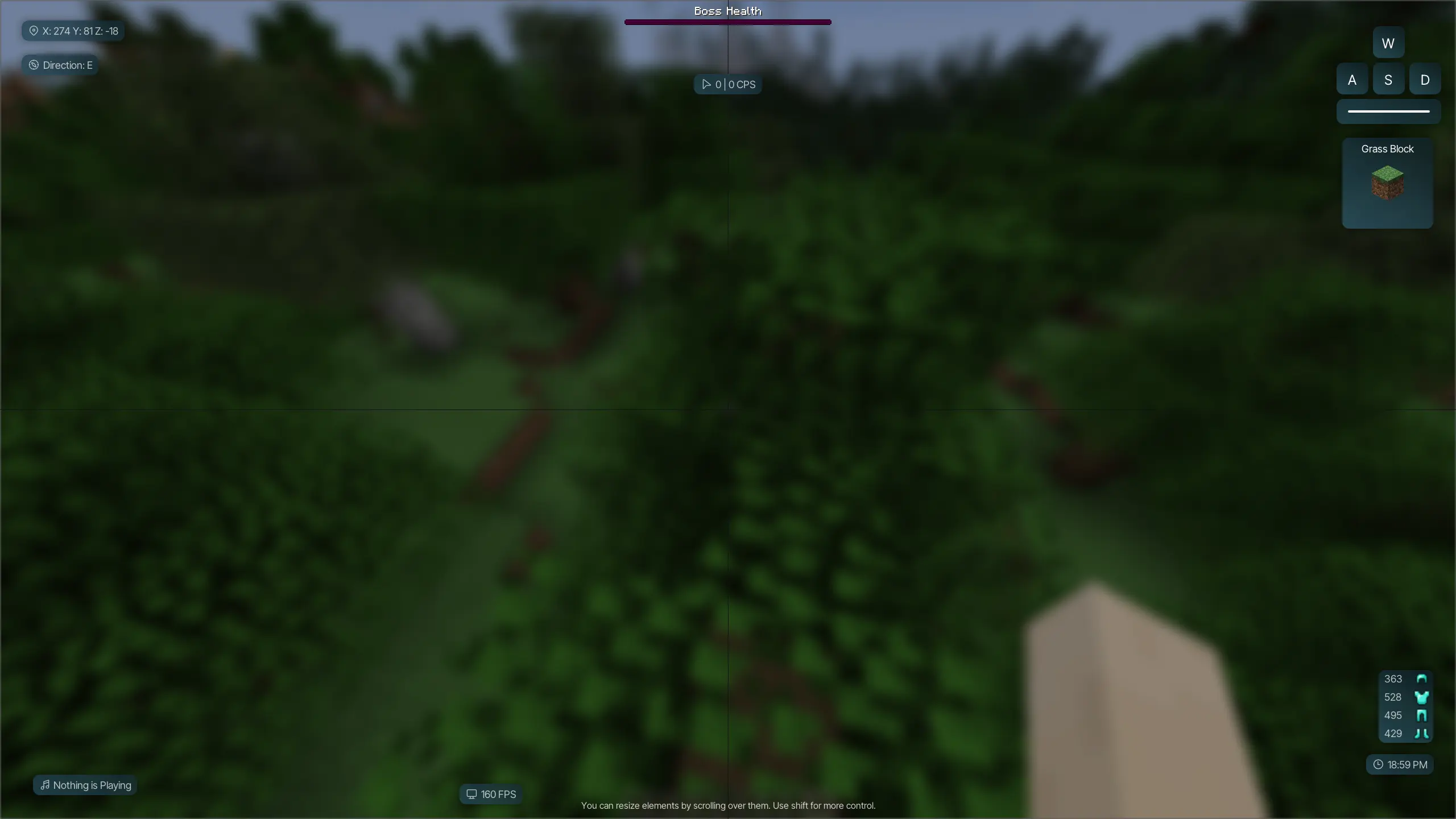 HUD customization